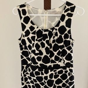 Ann Taylor Loft Day Dress